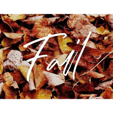 Fall Black Modern Wood Framed Art Print with Double Matting by Villa, Mlli