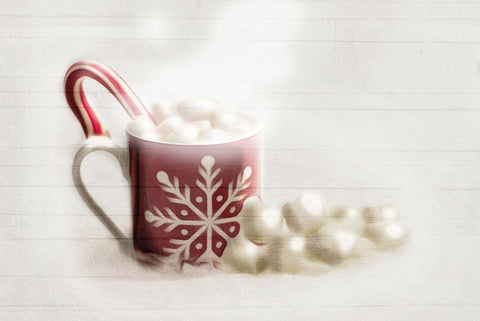 Santas Coco White Modern Wood Framed Art Print with Double Matting by Villa, Mlli