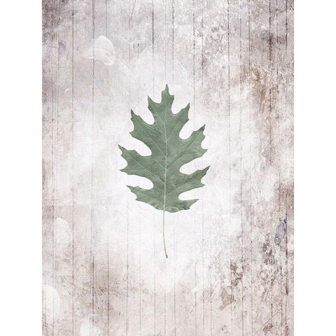 Washed Leaf White Modern Wood Framed Art Print by Villa, Mlli