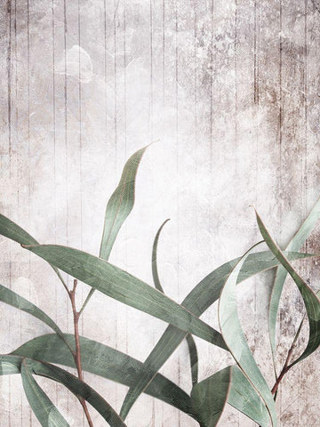 Washed Leaves White Modern Wood Framed Art Print with Double Matting by Villa, Mlli