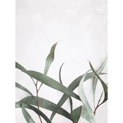 Washed Simple Leaves White Modern Wood Framed Art Print by Villa, Mlli