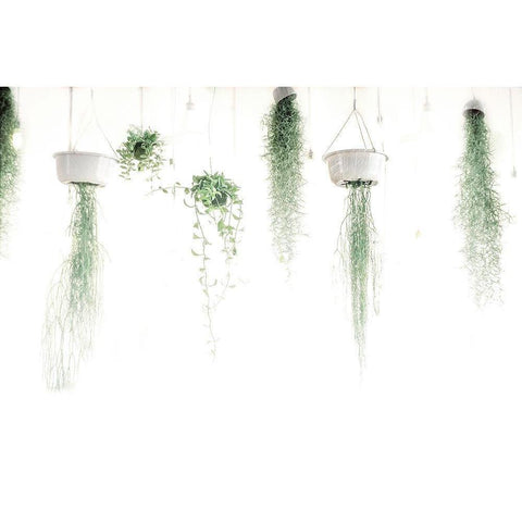 High Plants White Modern Wood Framed Art Print by Villa, Mlli