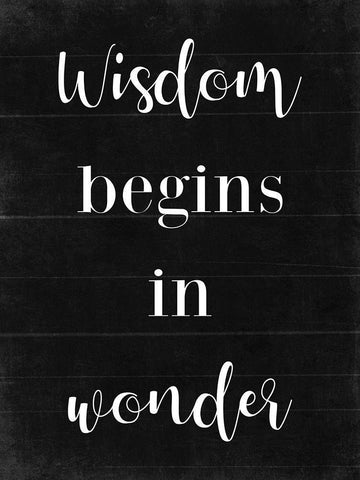 Wisdom B/W White Modern Wood Framed Art Print with Double Matting by Villa, Mlli