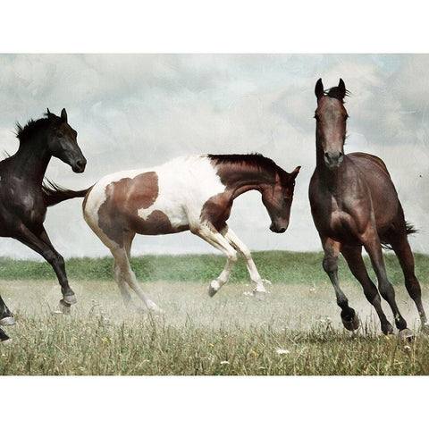 Running Horses 4 Black Modern Wood Framed Art Print with Double Matting by Villa, Milli
