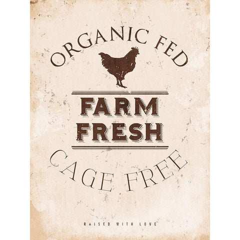 Farm Fresh Chicken Black Modern Wood Framed Art Print with Double Matting by Villa, Milli