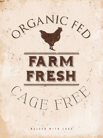 Farm Fresh Chicken White Modern Wood Framed Art Print with Double Matting by Villa, Milli