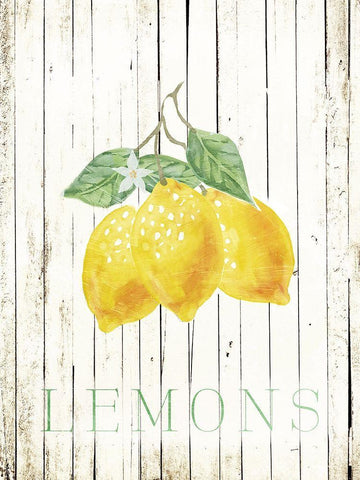 Wood Lemons Black Ornate Wood Framed Art Print with Double Matting by Villa, Milli