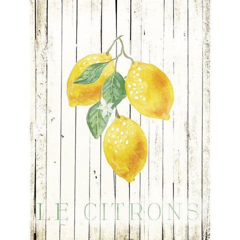 Wood Le Citrons Black Modern Wood Framed Art Print by Villa, Milli