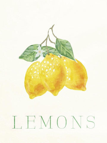 Clean Lemons Black Ornate Wood Framed Art Print with Double Matting by Villa, Milli