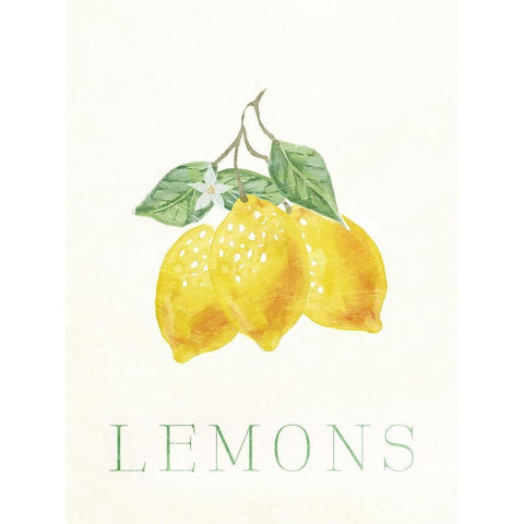 Clean Lemons Black Modern Wood Framed Art Print by Villa, Milli