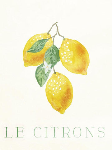 Clean Le Citrons Black Ornate Wood Framed Art Print with Double Matting by Villa, Milli