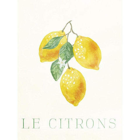 Clean Le Citrons White Modern Wood Framed Art Print by Villa, Milli