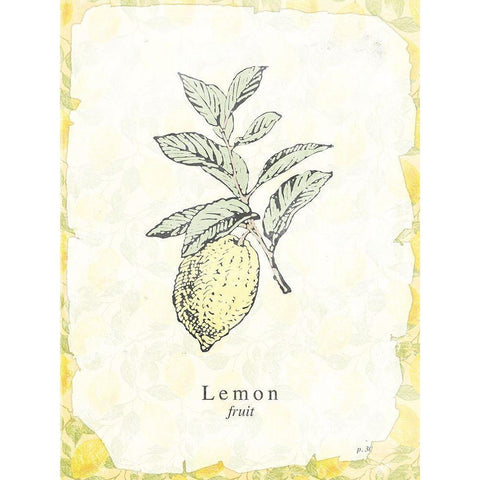 Lemon Fruit Black Modern Wood Framed Art Print with Double Matting by Villa, Milli