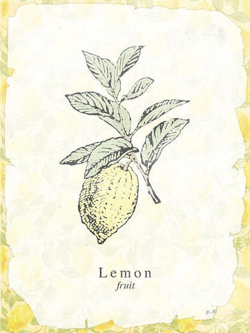 Lemon Fruit White Modern Wood Framed Art Print with Double Matting by Villa, Milli