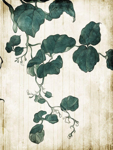 Hanging Leaves 2 Black Ornate Wood Framed Art Print with Double Matting by Villa, Milli
