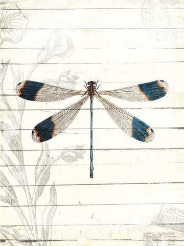 Dragonfly Look Black Ornate Wood Framed Art Print with Double Matting by Villa, Milli