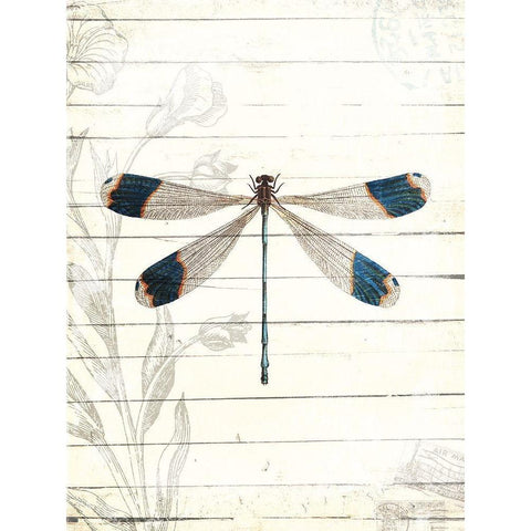 Dragonfly Look White Modern Wood Framed Art Print by Villa, Milli
