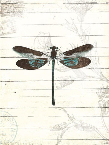 Dragonfly Look 2 White Modern Wood Framed Art Print with Double Matting by Villa, Milli