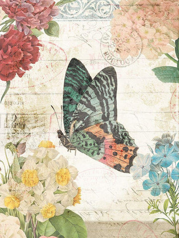 Butterfly Flowers 2 White Modern Wood Framed Art Print with Double Matting by Villa, Milli