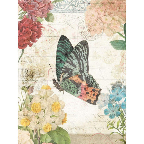 Butterfly Flowers 2 Black Modern Wood Framed Art Print with Double Matting by Villa, Milli
