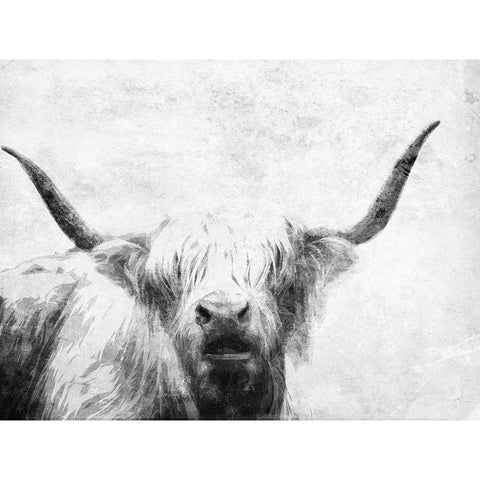 The Bull Look BW Black Modern Wood Framed Art Print with Double Matting by Villa, Milli