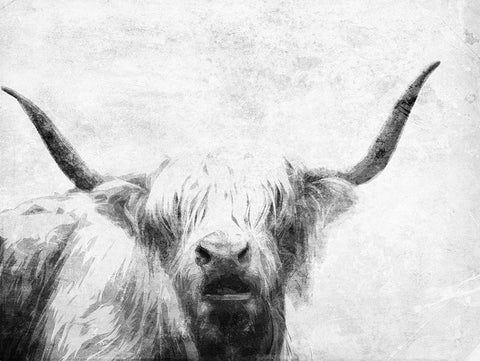 The Bull Look BW White Modern Wood Framed Art Print with Double Matting by Villa, Milli