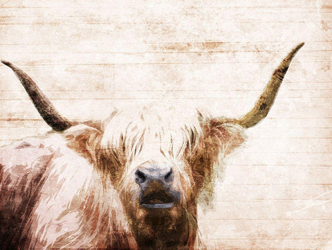 The Bull Look White Modern Wood Framed Art Print with Double Matting by Villa, Milli