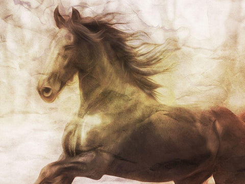 Horse On The Run White Modern Wood Framed Art Print with Double Matting by Villa, Milli