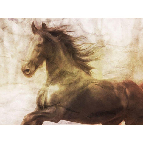 Horse On The Run Black Modern Wood Framed Art Print by Villa, Milli