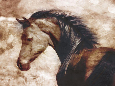 Look At The Horse White Modern Wood Framed Art Print with Double Matting by Villa, Milli