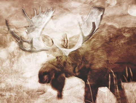 Look At The Moose White Modern Wood Framed Art Print with Double Matting by Villa, Milli