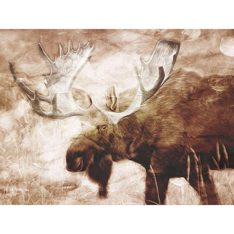 Look At The Moose Black Modern Wood Framed Art Print by Villa, Milli