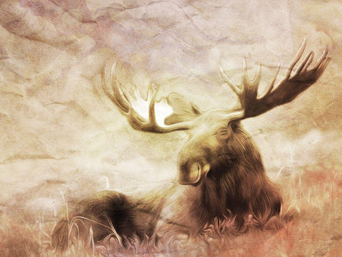 Moose Relaxing White Modern Wood Framed Art Print with Double Matting by Villa, Milli