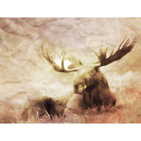 Moose Relaxing Black Modern Wood Framed Art Print by Villa, Milli