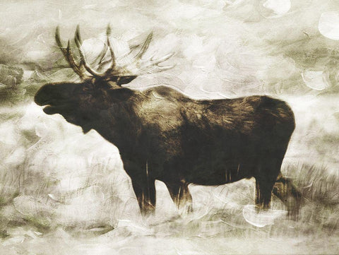 Singing Moose Black Ornate Wood Framed Art Print with Double Matting by Villa, Milli