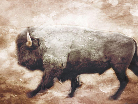Buffalo Walk Black Ornate Wood Framed Art Print with Double Matting by Villa, Milli
