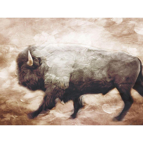 Buffalo Walk Black Modern Wood Framed Art Print by Villa, Milli