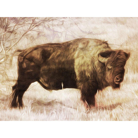 Buffalo Stance Black Modern Wood Framed Art Print by Villa, Milli