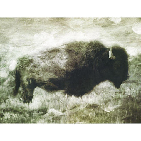 Buffalo Look White Modern Wood Framed Art Print by Villa, Milli