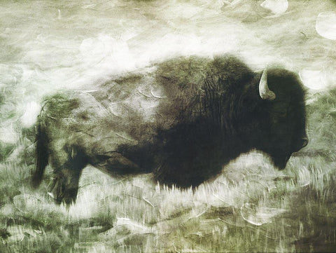 Buffalo Look Black Ornate Wood Framed Art Print with Double Matting by Villa, Milli