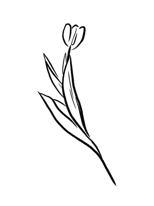 Image Only