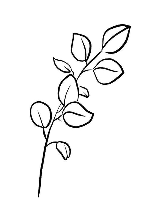 Image Only