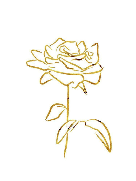 Image Only