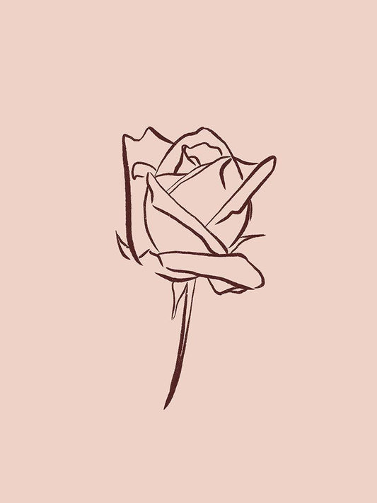 Image Only