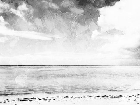 Sea Life Colorless White Modern Wood Framed Art Print with Double Matting by Villa, Milli