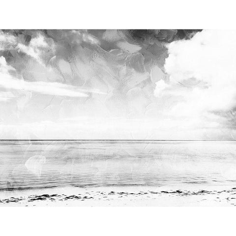 Sea Life Colorless Black Modern Wood Framed Art Print by Villa, Milli