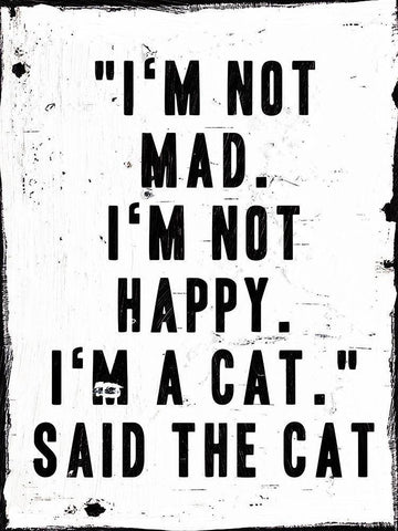 Said The Cat Black Ornate Wood Framed Art Print with Double Matting by Villa, Milli