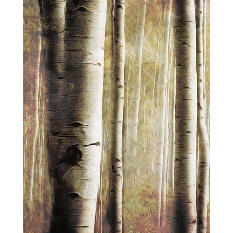 Burnt Birch Family 1 Gold Ornate Wood Framed Art Print with Double Matting by Villa, Milli