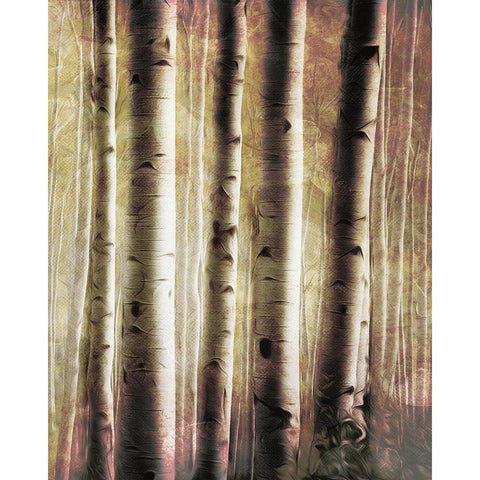 Burnt Birch Family 2 White Modern Wood Framed Art Print by Villa, Milli