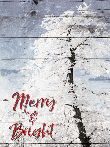 Merry and Bright Black Ornate Wood Framed Art Print with Double Matting by Villa, Milli